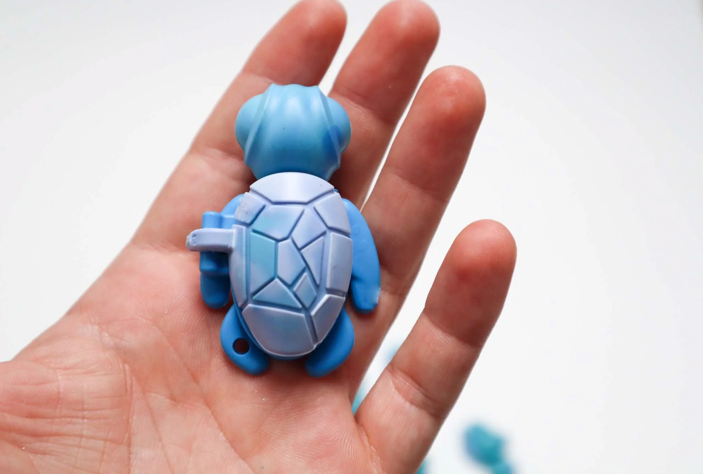 Calm Buddie Turtle