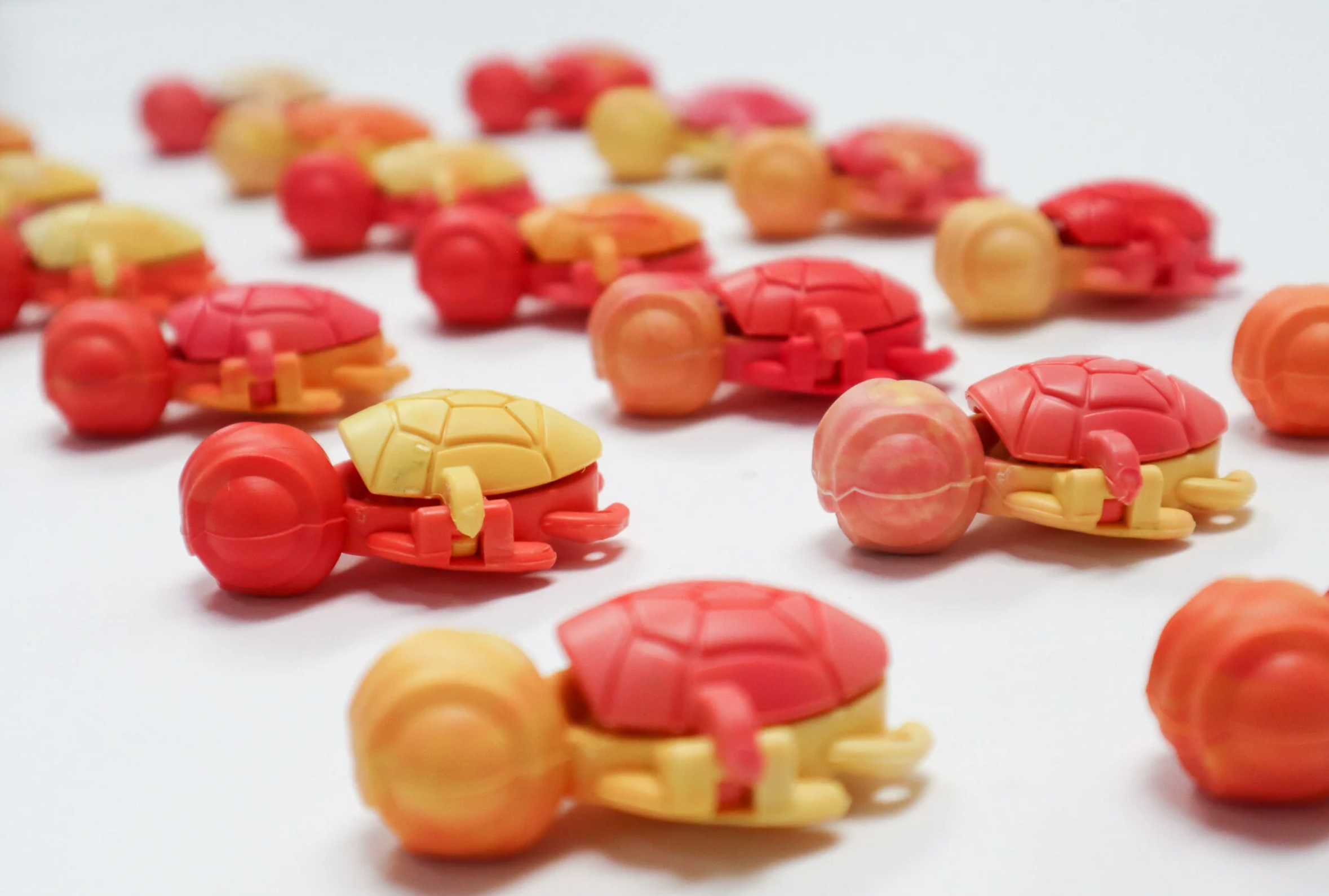 Calm Buddie Turtle