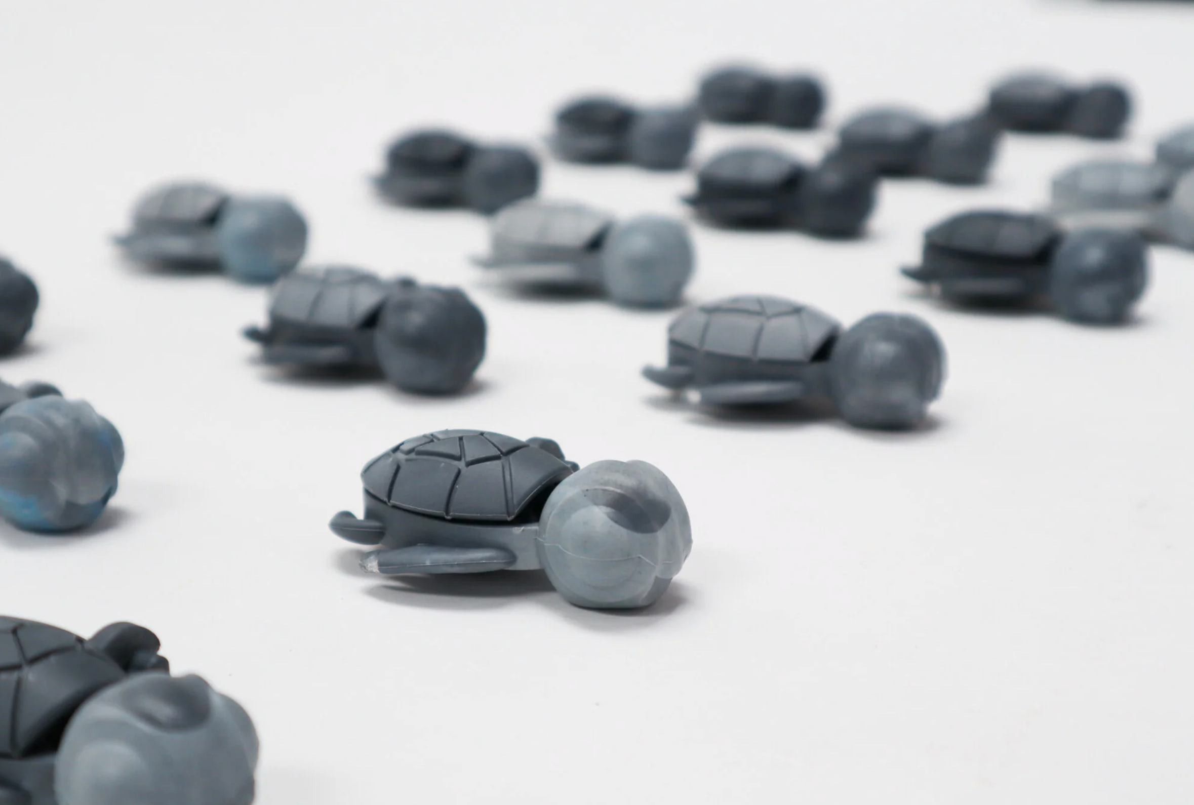 Calm Buddie Turtle